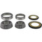 All Balls Steering Stem Bearing Seal Kit for Honda Triumph