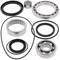 All Balls Rear Differential Bearing Seal Kit for Yamaha YFM250 YFM400, Others