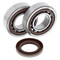 All Balls Crank Bearing and Seal Kit for KTM 24-1106