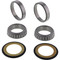 All Balls Steering Stem Bearing Seal Kit for Aprilia Ducati Honda Kawasaki Moto-Guzzi