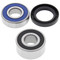 All Balls Wheel Bearing Kit for Honda 25-1020