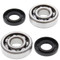 All Balls Crank Shaft Bearing Kit for Kawasaki & Suzuki