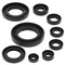 Winderosa Engine Oil Seal Kit For Honda 822351