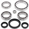 All Balls Front Differential Bearing Seal Kit for Yamaha 450 660 RHINO, Others