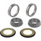 All Balls Steering Stem Bearing Seal Kit for Honda TM