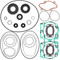 Gasket Kit with Oil Seals For Ski-Doo Formula MXZ X 1994 467cc