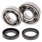 All Balls Crank Shaft Bearing Kit for YFS200 Yamaha Blaster 1988-2006