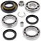 All Balls Rear Differential Bearing Seal Kit for Honda TRX400FW TRX450 Fourtrax