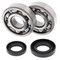 All Balls Crank Bearing and Seal Kit for Honda 24-1002