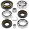 All Balls Differential Bearing and Seal Kit Front for Honda TRX350FE 00-06, 25-2003
