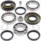 All Balls Rear Differential Bearing Seal Kit for Honda TRX250 TRX250EX