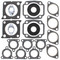 Winderosa Complete Gasket Kit with Oil Seals For Arctic Cat 711244