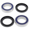 All Balls Wheel Bearing Kit for Adley Yamaha