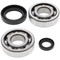 All Balls Crank Bearing and Seal Kit for Honda