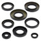 Winderosa Engine Oil Seal Kit For Yamaha 822253