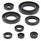 Winderosa Engine Oil Seal Kit For Honda 822354