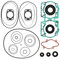 Winderosa Complete Gasket Kit with Oil Seals For Ski-Doo 711203