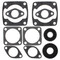 Gasket Kit with Oil Seals For Arctic Cat JAG 3000 FA/2 1976-1980 340cc