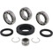 All Balls Rear Differential Bearing Seal Kit for TRX500FA TRX500FM Honda, Others