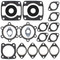 Winderosa Complete Gasket Kit with Oil Seals For Arctic Cat 711063