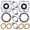 Complete Gasket Kit with Oil Seals For Polaris Electra 1975-1977 440cc