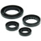 Winderosa Engine Oil Seal Kit For Honda TRX250 Recon 1997 - 2001 250cc