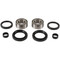 Pivot Works Front Wheel Bearing Kit for Honda TRX 416137