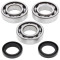 All Balls Crank Shaft Bearing Kit Polaris 300 2x4 94-95, 300 4X4 94-95, 24-1084