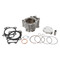 Cylinder Works Standard Bore 2004-2015 CRF 250R CRF250X Cylinder Kit 10001-K01 06113-KRN-700