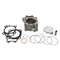 Cylinder Works Standard Bore 2004-2015 CRF 250R CRF250X Cylinder Kit 10001-K01 06113-KRN-700