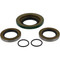 Differential Seal Only Kit Rear Can-Am Commander 1000 STD 2011-2013, 25-2086-5