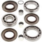 Differential Bearing and Seal Kit Rear Polaris Scrambler 1000 XP EPS 25-2080