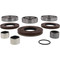 Differential Bearing and Seal Kit Rear Polaris Scrambler 1000 XP EPS 25-2080