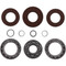 Differential Bearing and Seal Kit Rear Polaris Scrambler 1000 XP EPS 25-2080