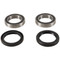 Husaberg /Husqvarna FC FE FS FX TE Front Wheel Bearing Kit 0215-0423, 416978