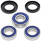 All Balls Racing Wheel Bearing Kit 25-1066 For Suzuki DR 250 90 91 92 93