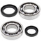 All Balls Crank Bearing and Seal Kit 24-1037 for Suzuki LT 250 R 85-92