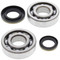 All Balls Racing Crank Bearing and Seal Kit 24-1046 For Suzuki RM 250 03 04