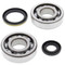 All Balls Racing Crank Bearing and Seal Kit 24-1020 For Suzuki RM 250 94 95