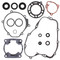 Vertex Gasket Kit with Oil Seals for Kawasaki KX 100 95 96 97