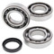 All Balls Racing Crank Bearing and Seal Kit For Polaris Scrambler 500 4x4