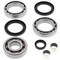 All Balls Differential Kit for Polaris New