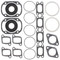 Winderosa Gasket Kit for Ski-Doo Alpine II / IV 90 91 1990 1991 711162A