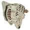 Alternator for Mitsubishi Mirage 1998-2002 1.8L A2TA5391, MD317862 400-48014