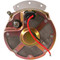 Alternator Marine Applications Replaces Motorola New