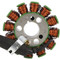 Stator Coil for Yamaha FZ1 2006-2015 2D1-81410-01-00