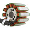 Stator Coil for Yamaha FZ1 2006-2015 2D1-81410-01-00