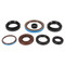 Vertex Engine Oil Seal Kit 822381 for Arctic Cat 550 EFI 4x4 14