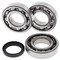 All Balls Crank Bearing and Seal Kit for Polaris ATP 500 4x4 04 24-1089