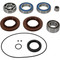 All Balls Differential Seal Kit (25-2139-5) for Arctic Cat 550 TRV XT 2014-2015